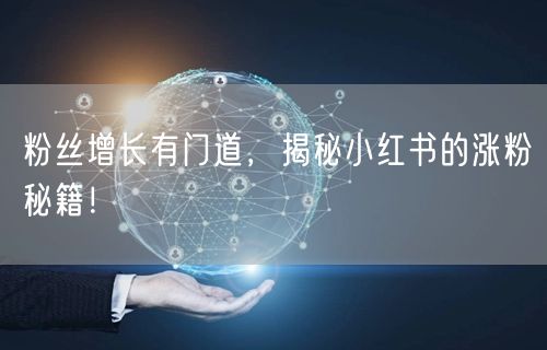粉丝增长有门道，揭秘小红书的涨粉秘籍！