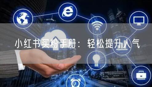 小红书买粉手册：轻松提升人气