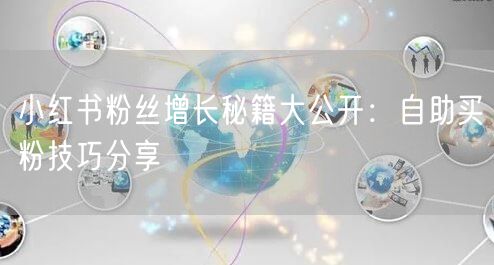 小红书粉丝增长秘籍大公开：自助买粉技巧分享