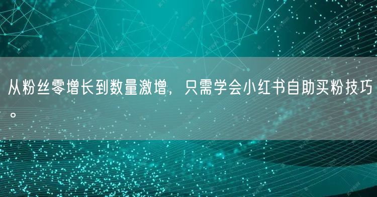 从粉丝零增长到数量激增，只需学会小红书自助买粉技巧。