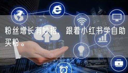 粉丝增长有妙招，跟着小红书学自助买粉。