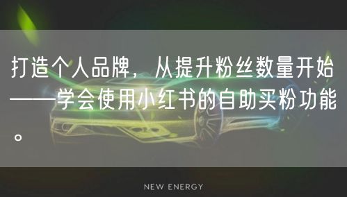 打造个人品牌，从提升粉丝数量开始——学会使用小红书的自助买粉功能。