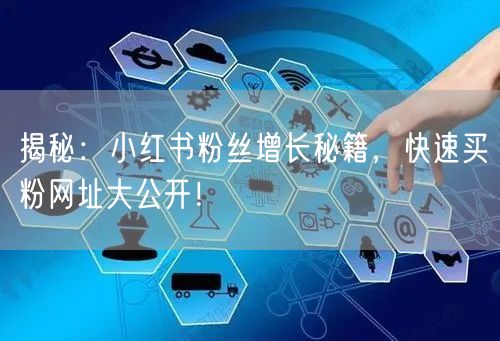 揭秘：小红书粉丝增长秘籍，快速买粉网址大公开！