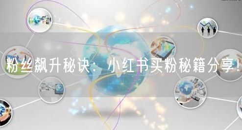 粉丝飙升秘诀：小红书买粉秘籍分享！