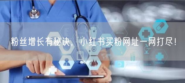 粉丝增长有秘诀，小红书买粉网址一网打尽！