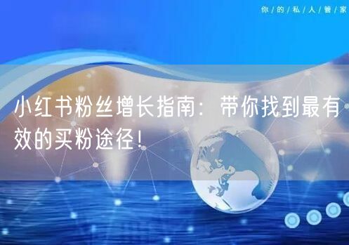 小红书粉丝增长指南：带你找到最有效的买粉途径！