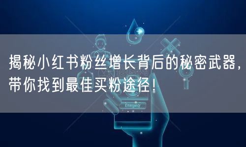 揭秘小红书粉丝增长背后的秘密武器，带你找到最佳买粉途径！