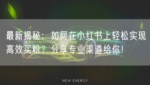 最新揭秘：如何在小红书上轻松实现高效买粉？分享专业渠道给你！